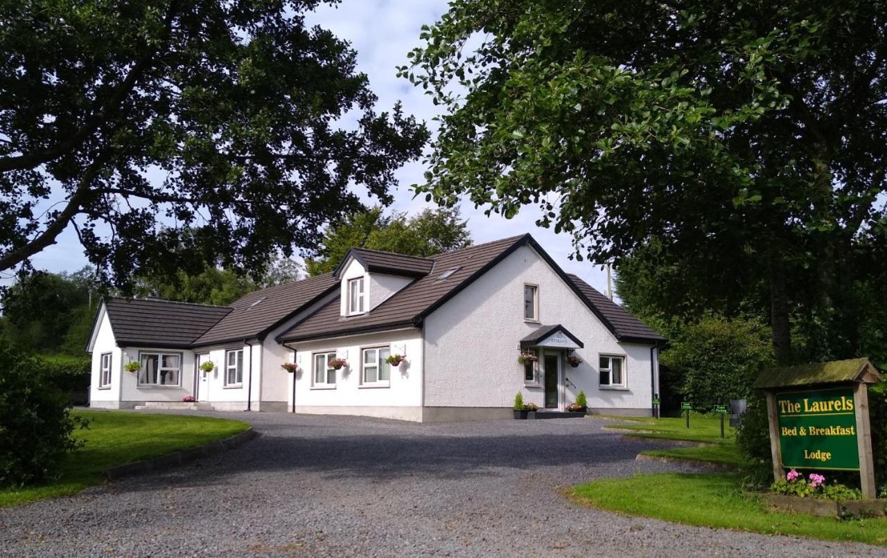 The Laurels Bed & Breakfast Lodge Omagh Kültér fotó